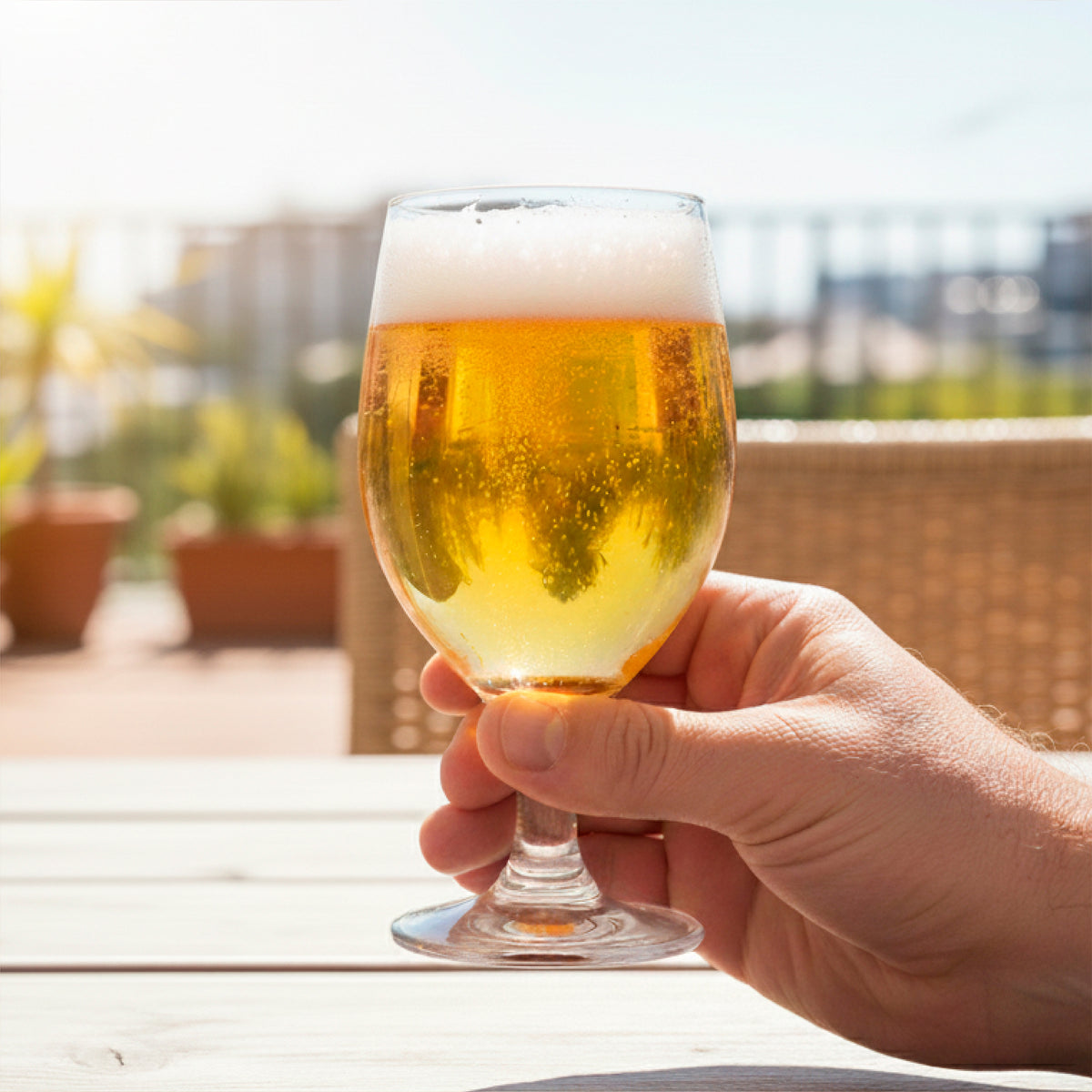 Set 6 Vaso Copa Cerveza Collins 420ml Simplit