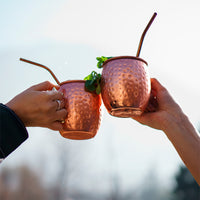 Set 4 Vasos Moscow Mule Mug Cobre + Bombillas Simplit