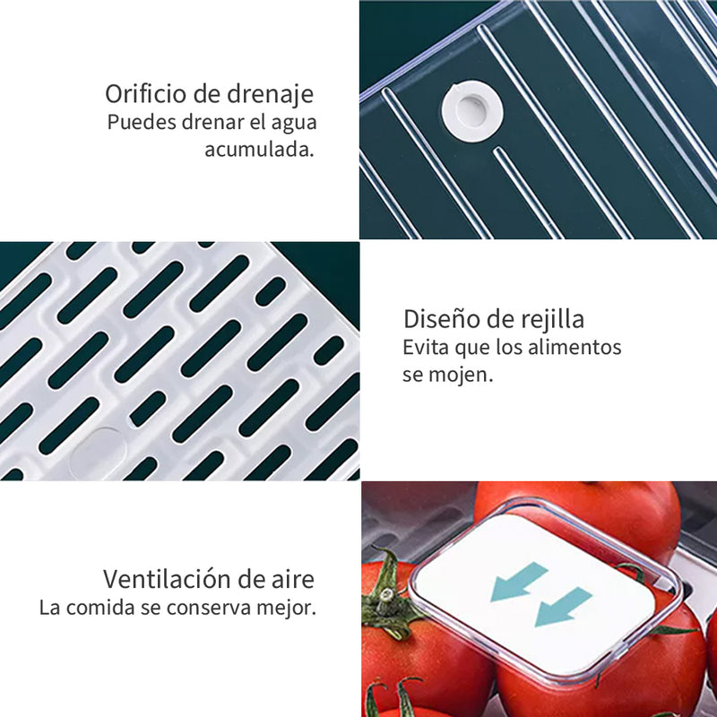 Organizador Refrigerador con Drenaje Chica Simplit