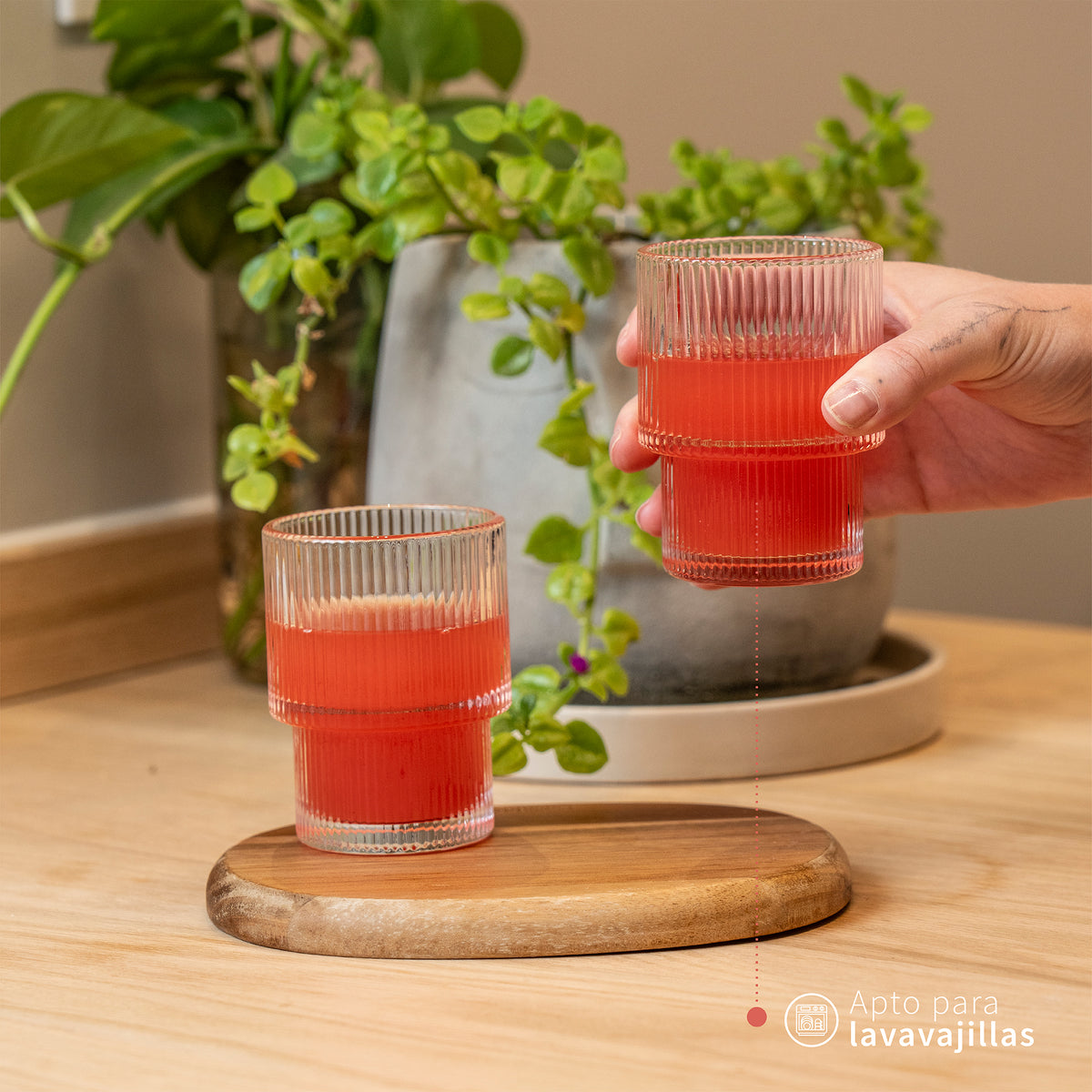 Set 6 Vasos Corto Vintage Charlotte 200ml Simplit – foto 6