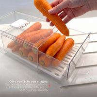 Organizador Refrigerador con Drenaje L Simplit