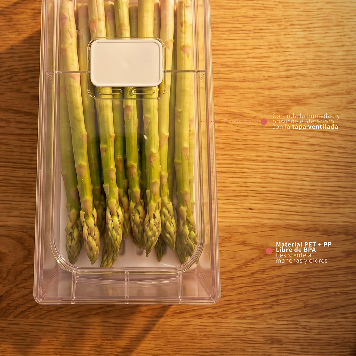 Pack Organizador Refrigerador Drenaje S + L Simplit