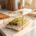 Organizador Refrigerador con Drenaje S Simplit