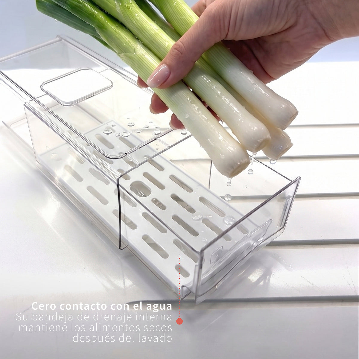 Organizador Refrigerador con Drenaje S Simplit